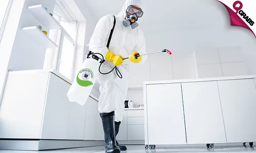 Pest Control: Cockroach & Bedbug Treatment Services!